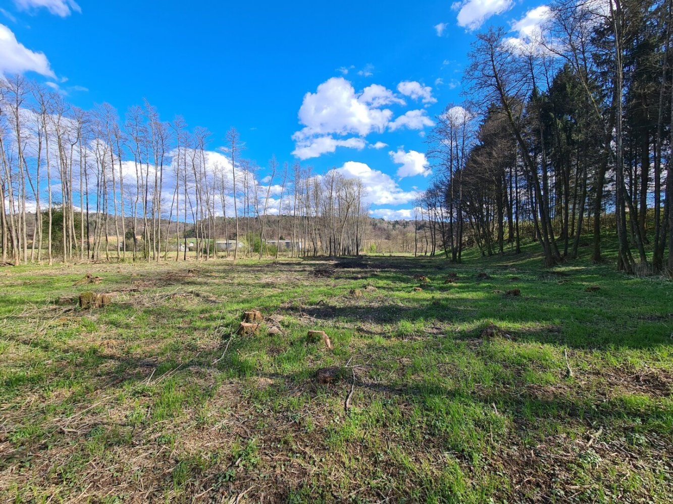  Land in Kirchbach-Zerlach, Austria No. 102762