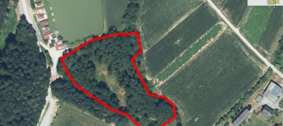  Land in Kirchbach-Zerlach, Austria No. 102762 10