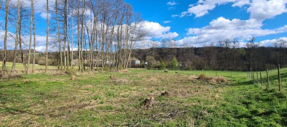  Land in Kirchbach-Zerlach, Austria No. 102762 4