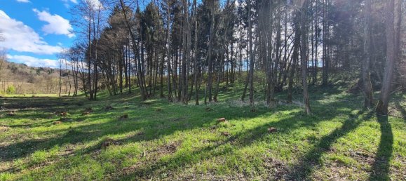  Land in Kirchbach-Zerlach, Austria No. 102762 8