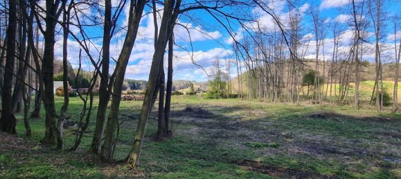  Land in Kirchbach-Zerlach, Austria No. 102762 7