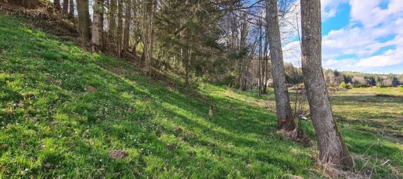  Land in Kirchbach-Zerlach, Austria No. 102762 2