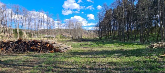  Land in Kirchbach-Zerlach, Austria No. 102762 3