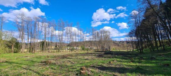  Land in Kirchbach-Zerlach, Austria No. 102762 5