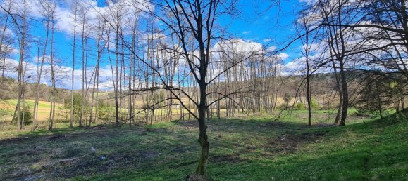  Land in Kirchbach-Zerlach, Austria No. 102762 6