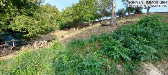  Land in Kreuzstetten, Austria No. 102565 7