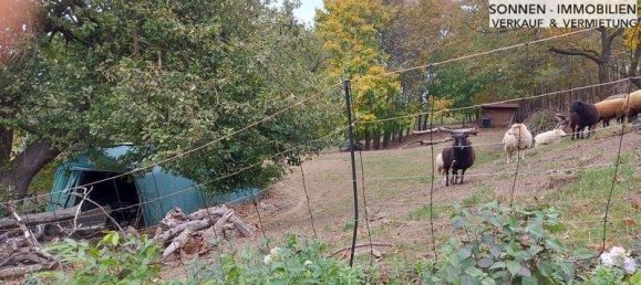  Land in Kreuzstetten, Austria No. 102565 5