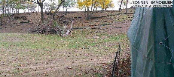  Land in Kreuzstetten, Austria No. 102565 4