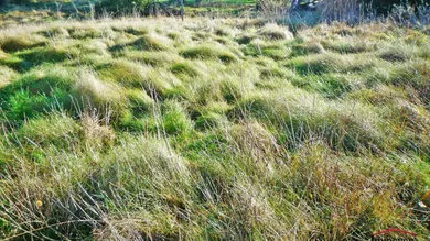 Земельный участок в Вайнитцен, Австрия № 261689