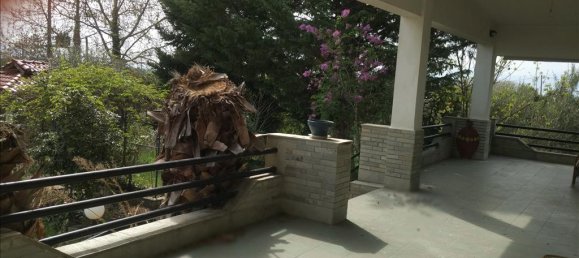 5 Schlafzimmer Gewerbliche Immobilie in Drama, Greece, Nr. 6044 3