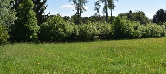  Land in Lassnitzhohe, Austria No. 236714 13