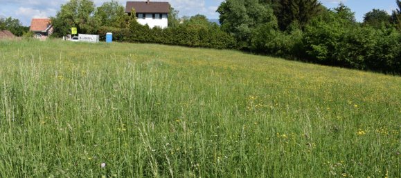  Land in Lassnitzhohe, Austria No. 236714 4