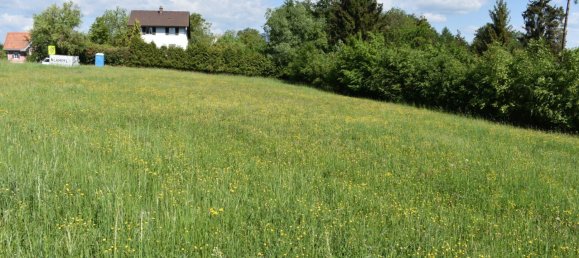  Land in Lassnitzhohe, Austria No. 236714 9