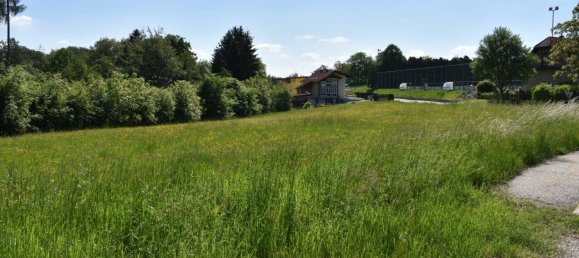 Land in Lassnitzhohe, Austria No. 236714 14