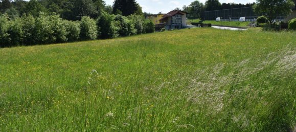  Land in Lassnitzhohe, Austria No. 236714 3