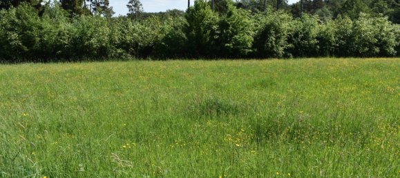  Land in Lassnitzhohe, Austria No. 236714 15