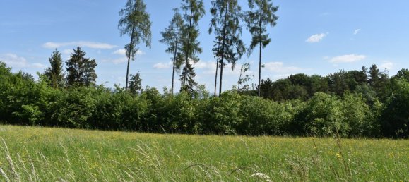  Land in Lassnitzhohe, Austria No. 236714 18