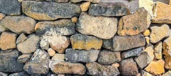 Terrain à San Miguel de Abona, Spain 553m² No. 27689 28