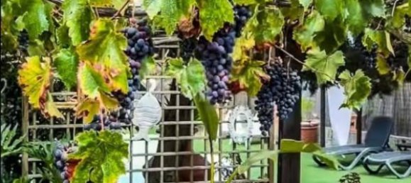 Terrain à San Miguel de Abona, Spain 553m² No. 27689 13