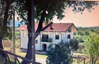 5 bedrooms Apartment in Montalto Uffugo, Italy No. 274561