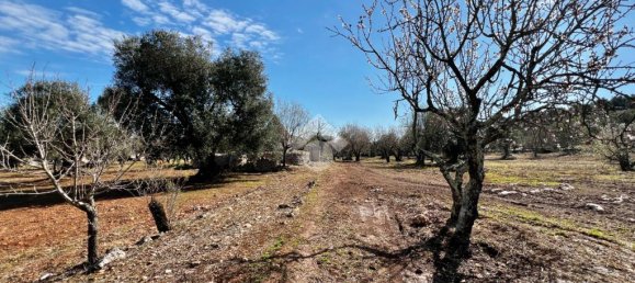 Дом с 2 спальнями в Челье Мессапика, Италия № 163662 29