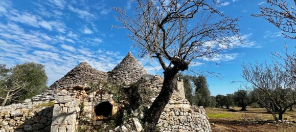 Дом с 2 спальнями в Челье Мессапика, Италия № 163662 3