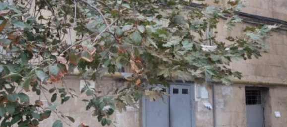 4 Schlafzimmer Wohnung in Baku, Azerbaijan, Nr. 170 7