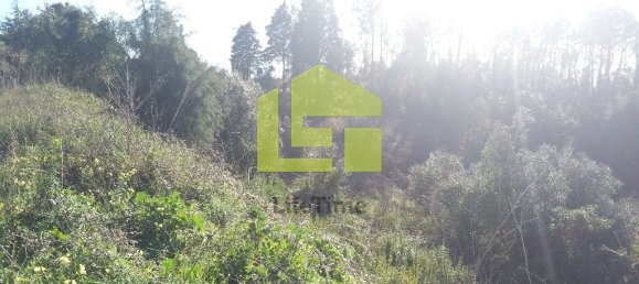 Grundstück in Coimbra, Portugal 1446m², Nr. 70967 3