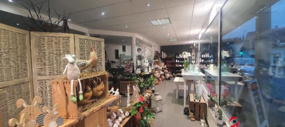 50m² Commercial property in Bartenheim, France No. 78529 3