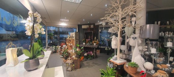 50m² Commercial property in Bartenheim, France No. 78529 2