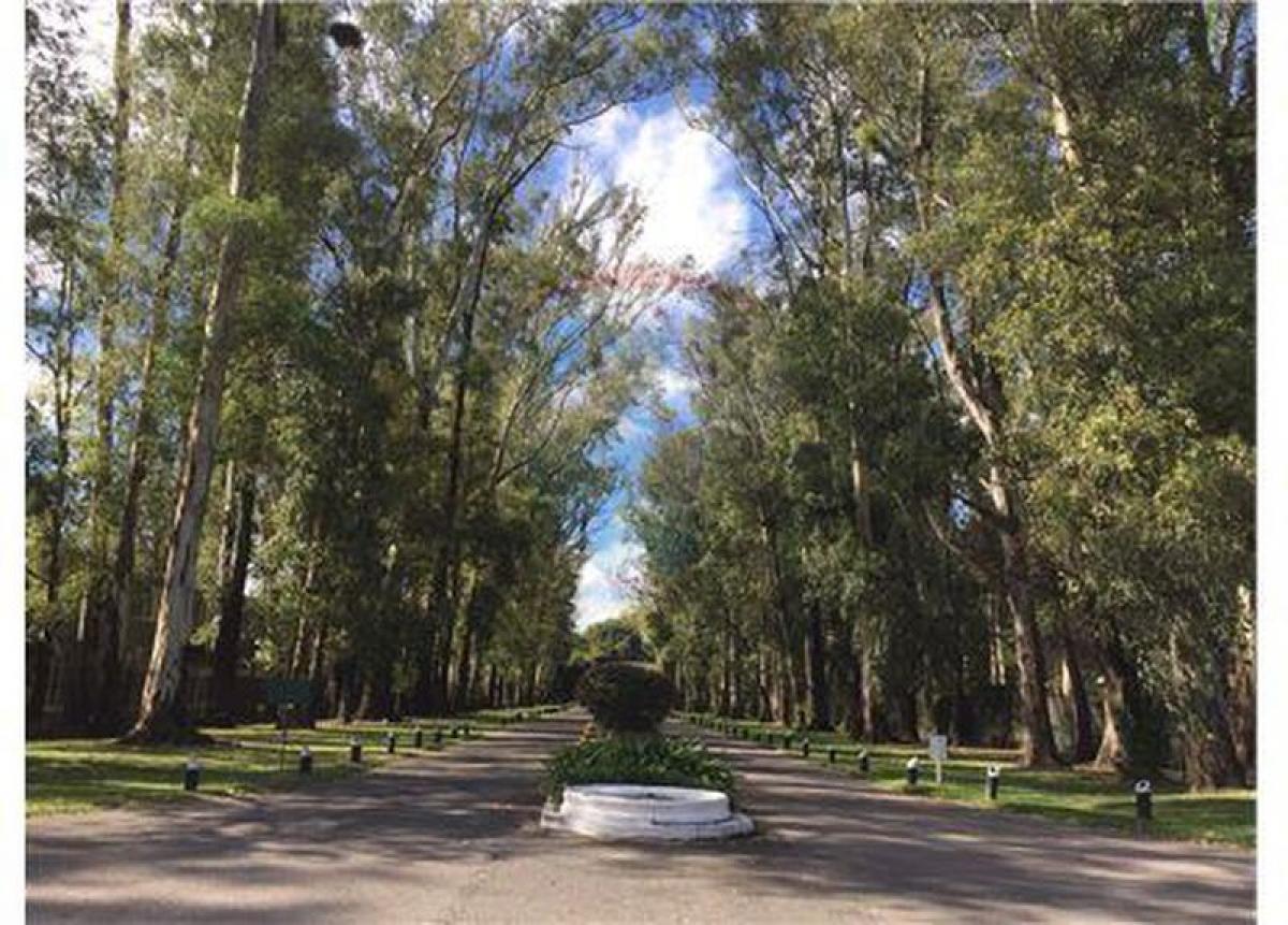 Grundstück in Pilar, Argentina, Nr. 34383