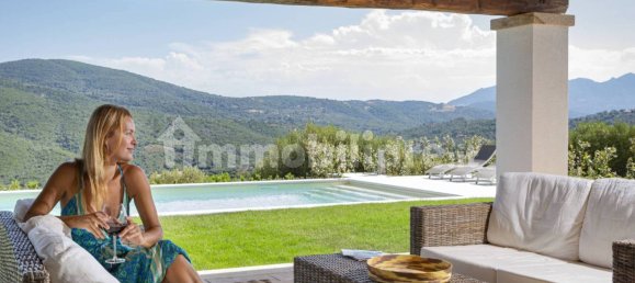 6 bedrooms Villa in Olbia, Italy No. 163526 3