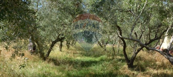 7 rooms Villa in Liberi, Italy No. 275313 10