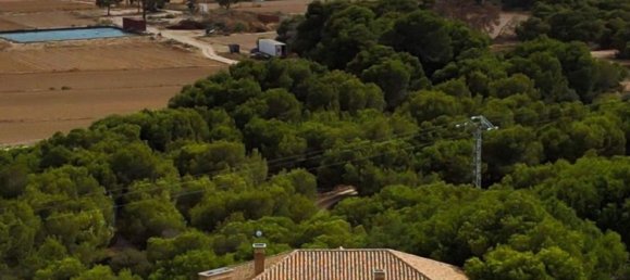 5 bedrooms House in Rojales, Spain No. 11799 14