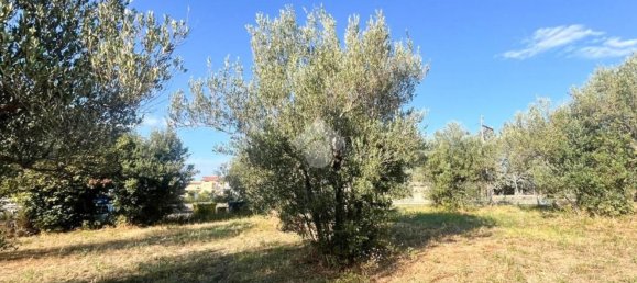 Grundstück in Lanciano, Italy 2750m², Nr. 271254 5