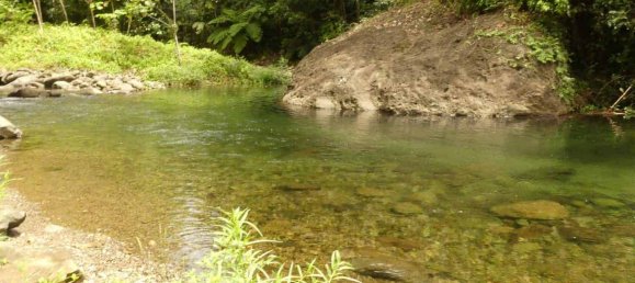 19304m² Land in Rosalie, Dominica No. 41 23