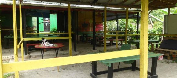 19304m² Land in Rosalie, Dominica No. 41 14