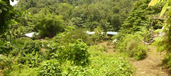 19304m² Land in Rosalie, Dominica No. 41 22