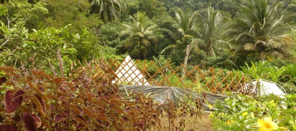 19304m² Land in Rosalie, Dominica No. 41 26