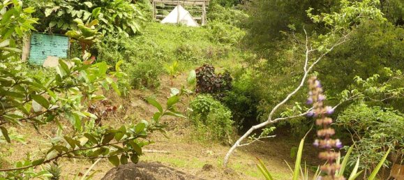 19304m² Land in Rosalie, Dominica No. 41 25