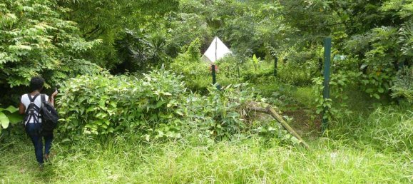 19304m² Land in Rosalie, Dominica No. 41 24