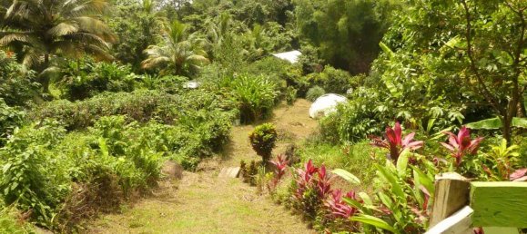 19304m² Land in Rosalie, Dominica No. 41 19