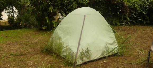 19304m² Land in Rosalie, Dominica No. 41 16