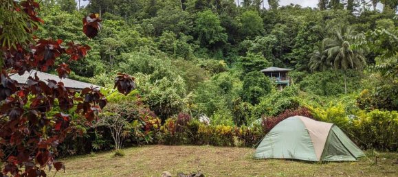 19304m² Land in Rosalie, Dominica No. 41 29