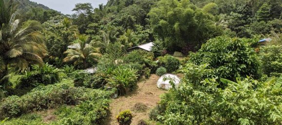 19304m² Land in Rosalie, Dominica No. 41 27