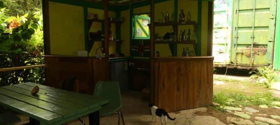 19304m² Land in Rosalie, Dominica No. 41 13