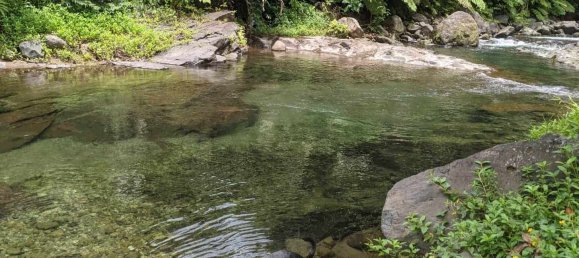 19304m² Land in Rosalie, Dominica No. 41 28