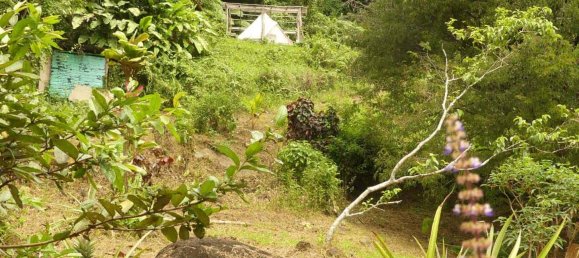 19304m² Land in Rosalie, Dominica No. 41 20