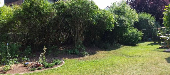 2 Schlafzimmer Wohnung in Kaiserslautern, Germany, Nr. 274905 3