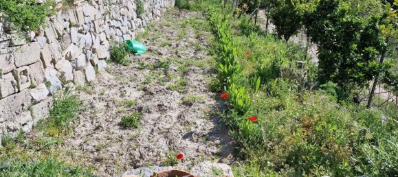 7-Zimmer Villa in Santa Caterina dello Ionio, Italy, Nr. 123604 6